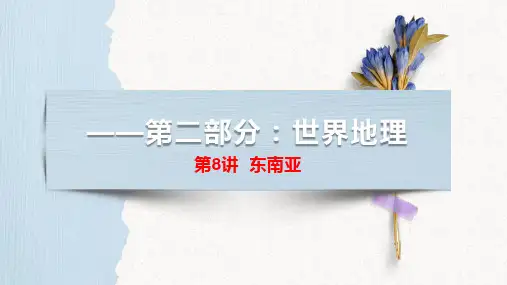 高二区域地理复习课件第8讲东南亚