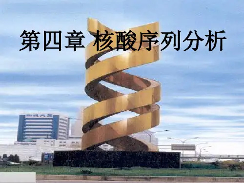核酸序列分析