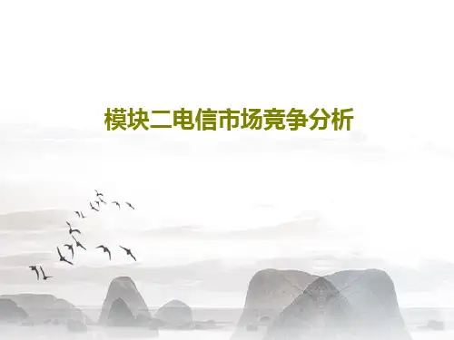 模块二电信市场竞争分析94页PPT