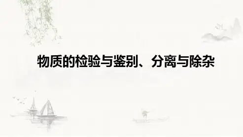 中考化学二轮复习----物质的检验鉴别分离除杂课件