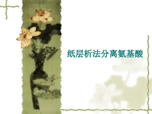 实验六 纸层析法分离氨基酸