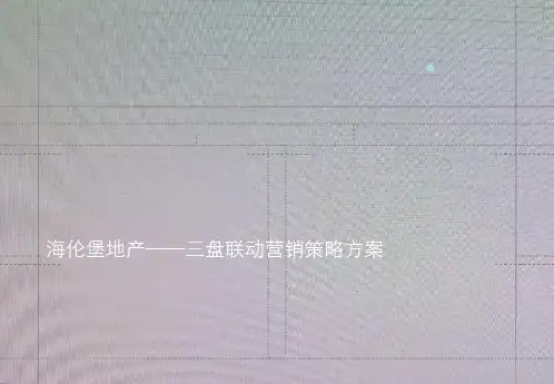 中原-海伦堡地产三盘联动营销策略方案