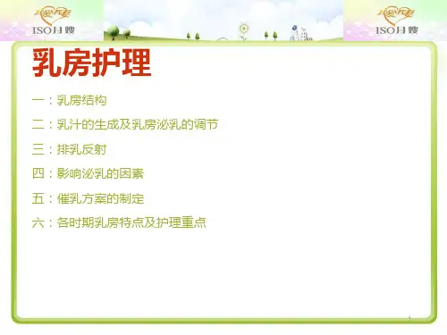 乳房护理PPT课件