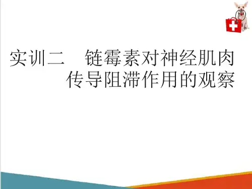 药理实操内容—犬的保定、口服、灌肠及注射给药(动物药理学课件)