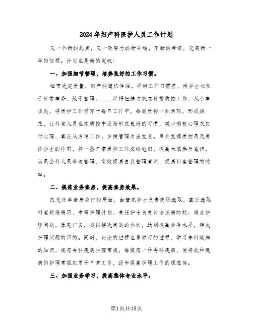 2024年妇产科医护人员工作计划（7篇）