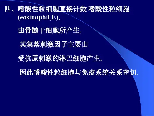 2.嗜酸性粒细胞直接计数(ppt文档)