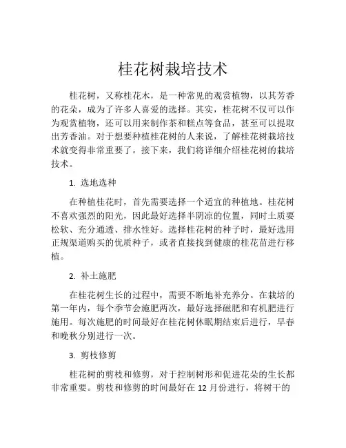 桂花树栽培技术