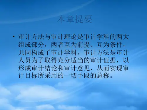 审计的方法讲义