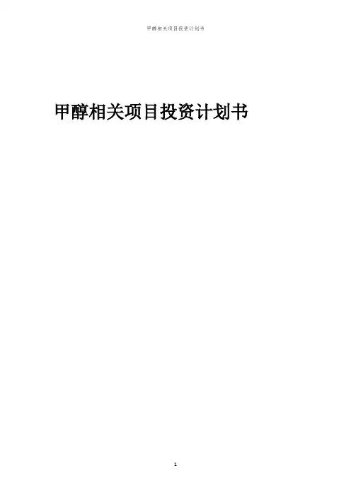 甲醇相关项目投资计划书
