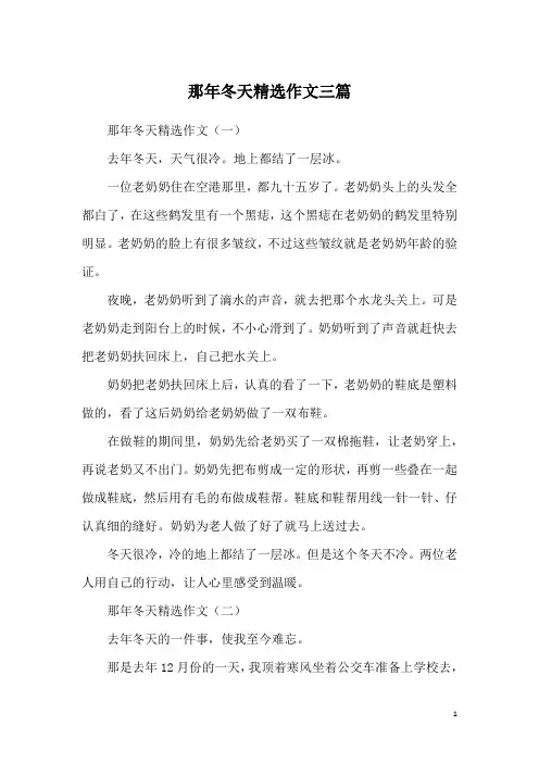 那年冬天精选作文三篇