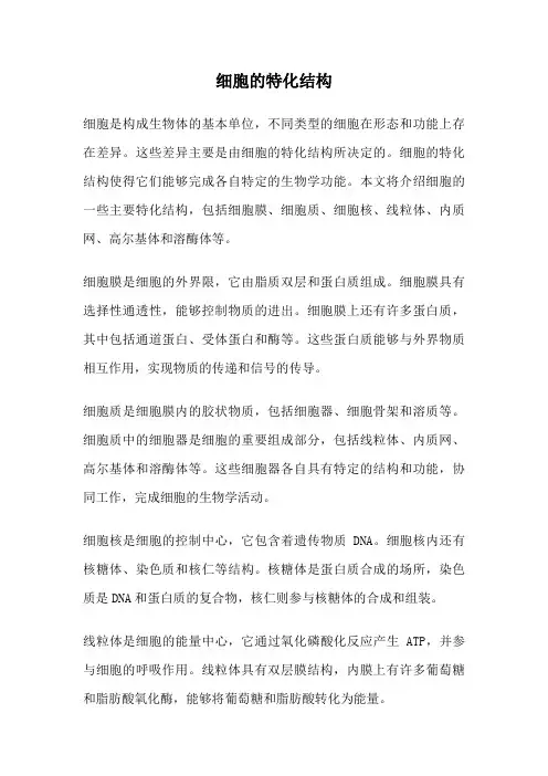 细胞的特化结构
