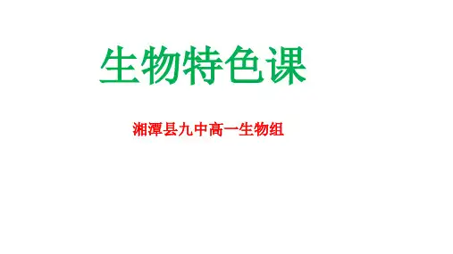 科技小制作PPT课件