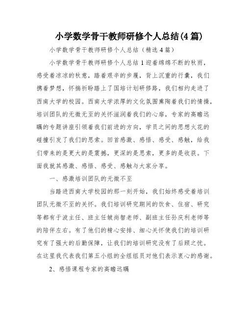 小学数学骨干教师研修个人总结(4篇)