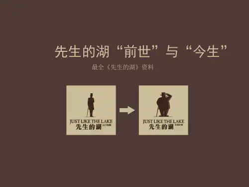 顶尖地产文案(先生的湖)全案