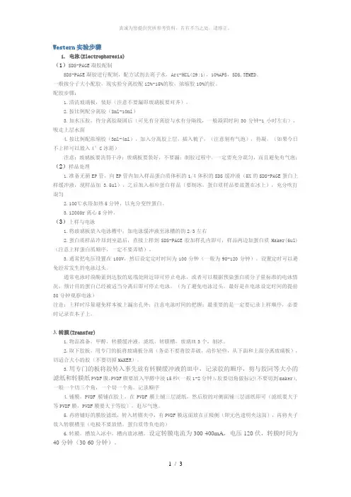 Western超详细实验步骤