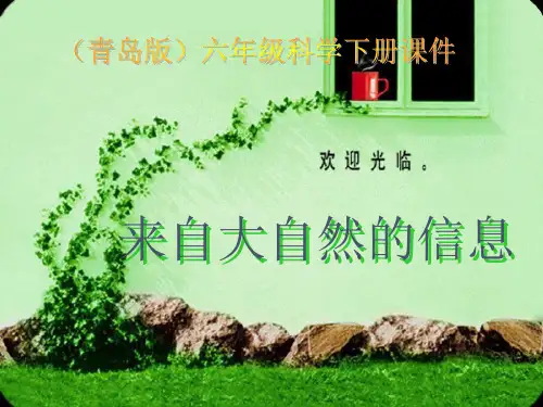 小学科学六年级下册来自大自然的信息-课件