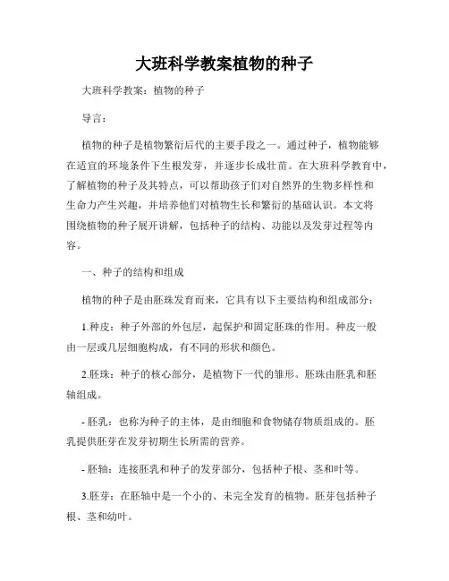 大班科学教案植物的种子