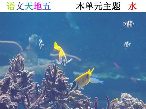 语文天地五 北师大版五年级上