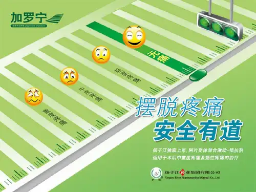 地佐辛在各领域的应用课件