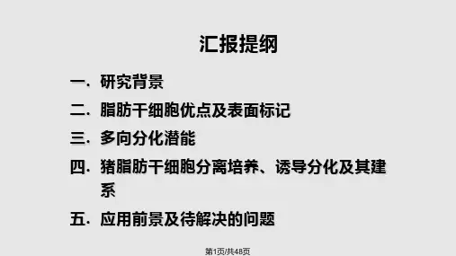 脂肪干细胞PPT课件