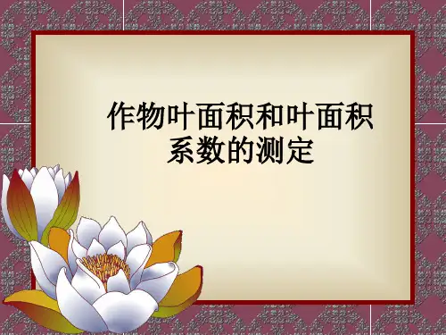 叶面积测定