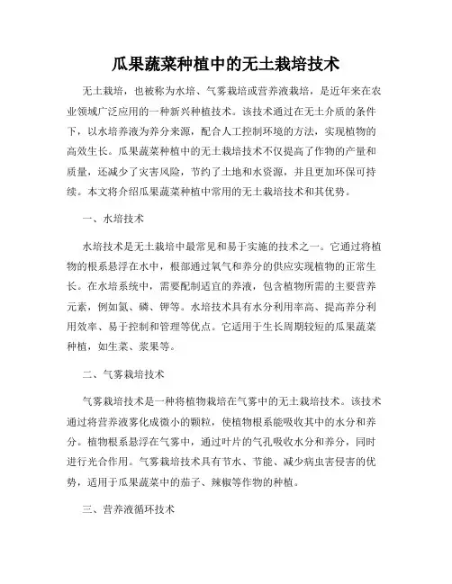 瓜果蔬菜种植中的无土栽培技术