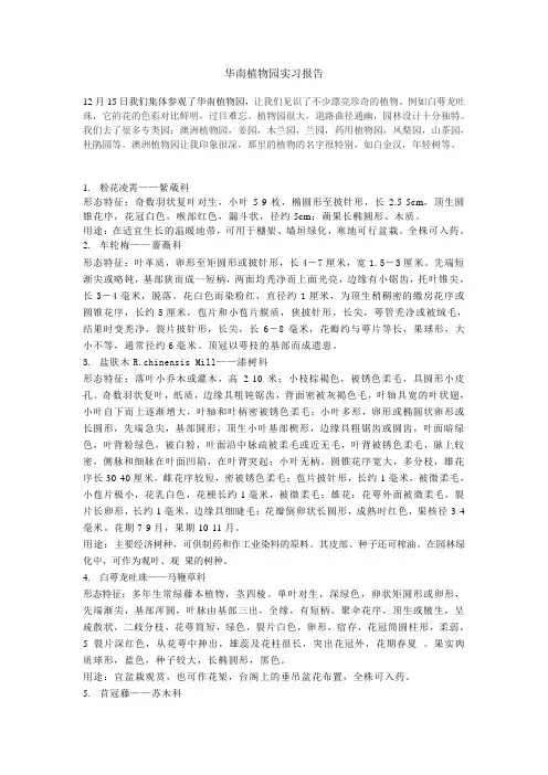 华南植物园实习报告