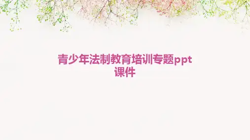 青少年法制教育培训专题ppt课件