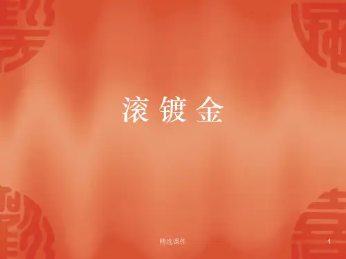 滚镀金线工艺流程ppt课件