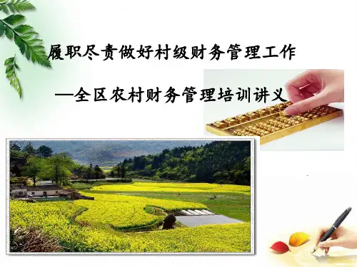 农村级财务管理培训课件