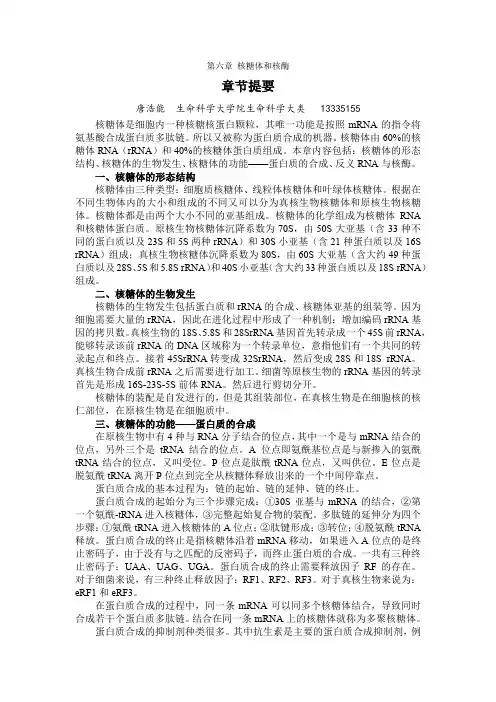 第06章 核糖体和核酶