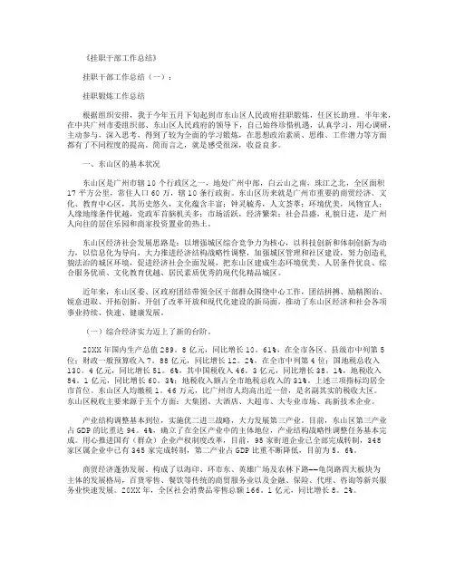 挂职干部工作总结12篇