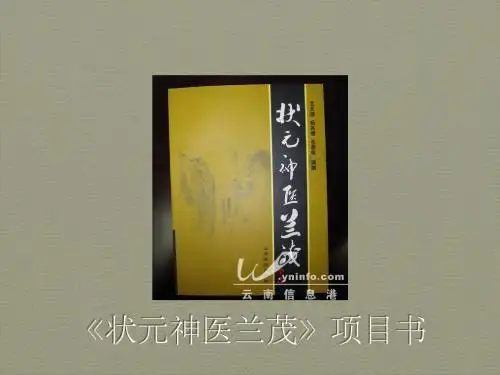 状元神医