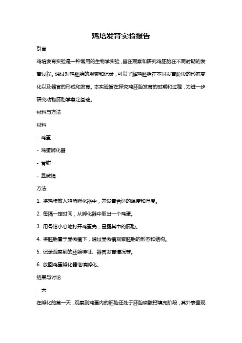 鸡培发育实验报告