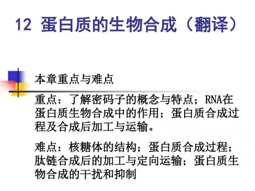 基础生物化学第11dh章 PPT课件