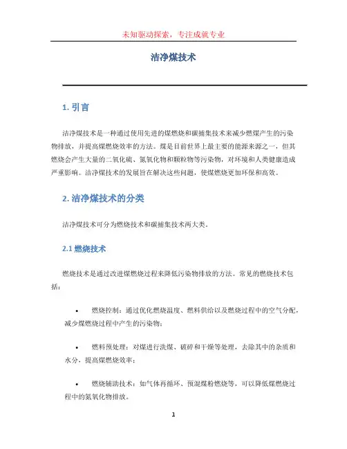 洁净煤技术