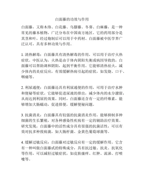 白面藤的功效与作用