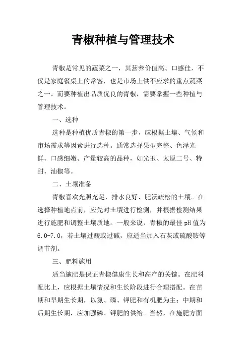 青椒种植与管理技术