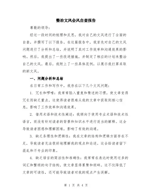 整治文风会风自查报告