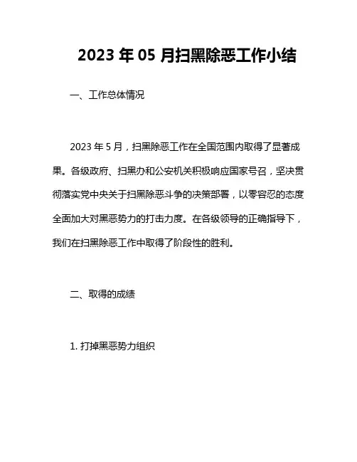 2023年05月扫黑除恶工作小结