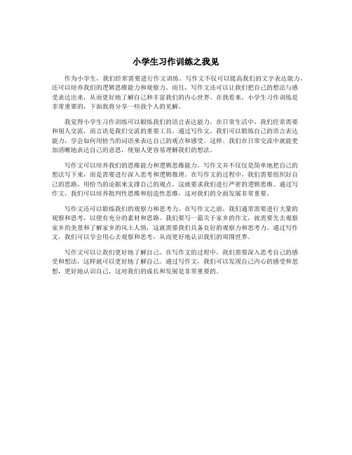 小学生习作训练之我见