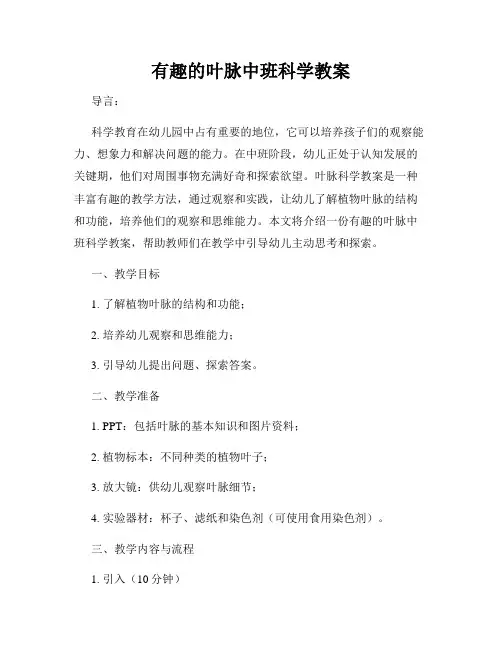 有趣的叶脉中班科学教案