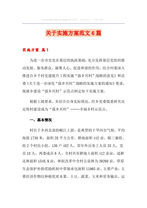 关于实施方案范文6篇