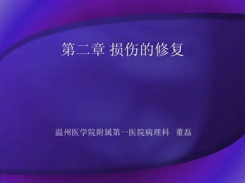 病理学 2损伤的修复