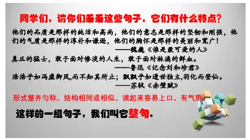 2024届高考语文复习：整句与散句+课件19张