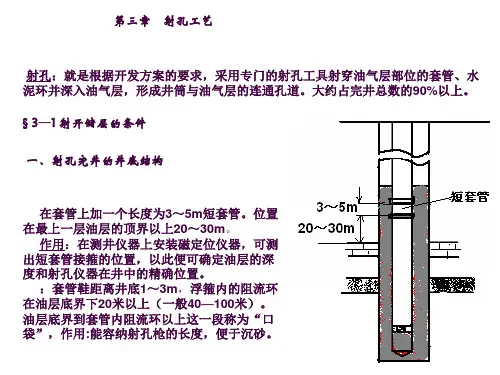 射孔介绍ppt课件