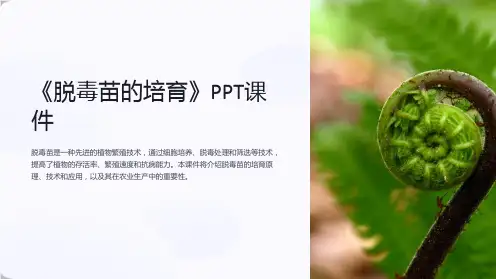 《脱毒苗的培育》课件