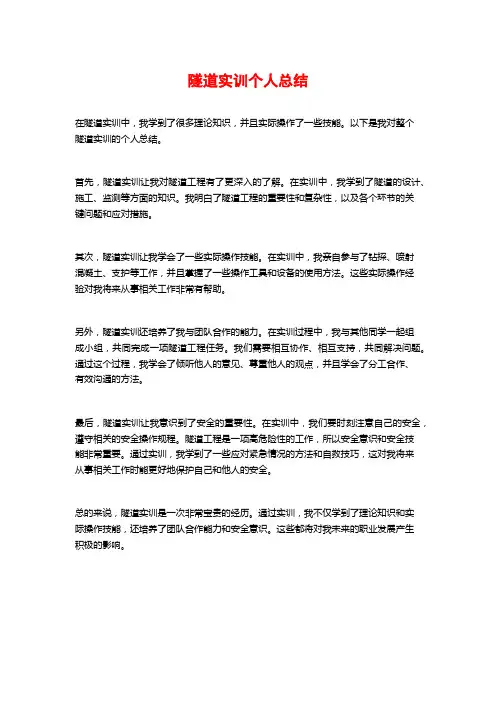 隧道实训个人总结