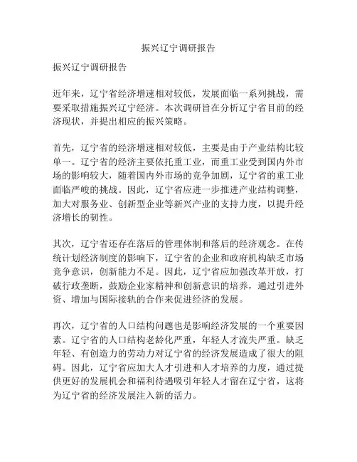 振兴辽宁调研报告