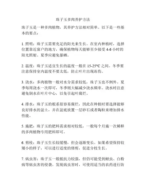 珠子玉多肉养护方法